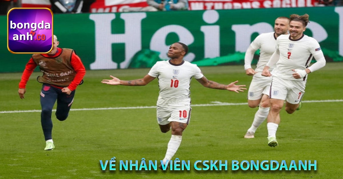 Các bài viết đặc biệt và chuyên đề bóng đá Anh