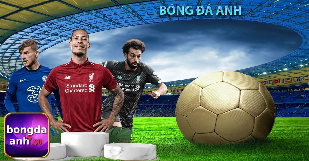 Giới thiệu bongdaanh