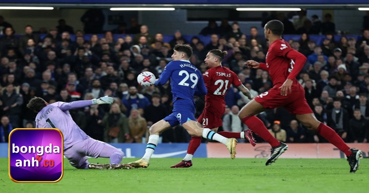 Hình ảnh chất lượng cao