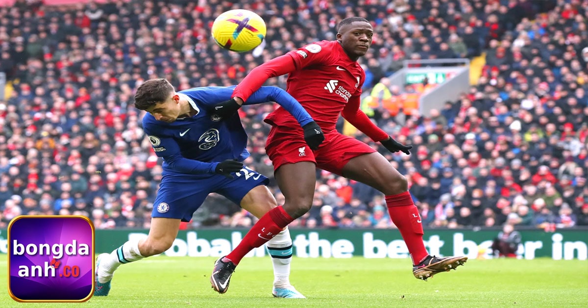 Kết quả và lịch thi đấu bóng đá Anh 24h