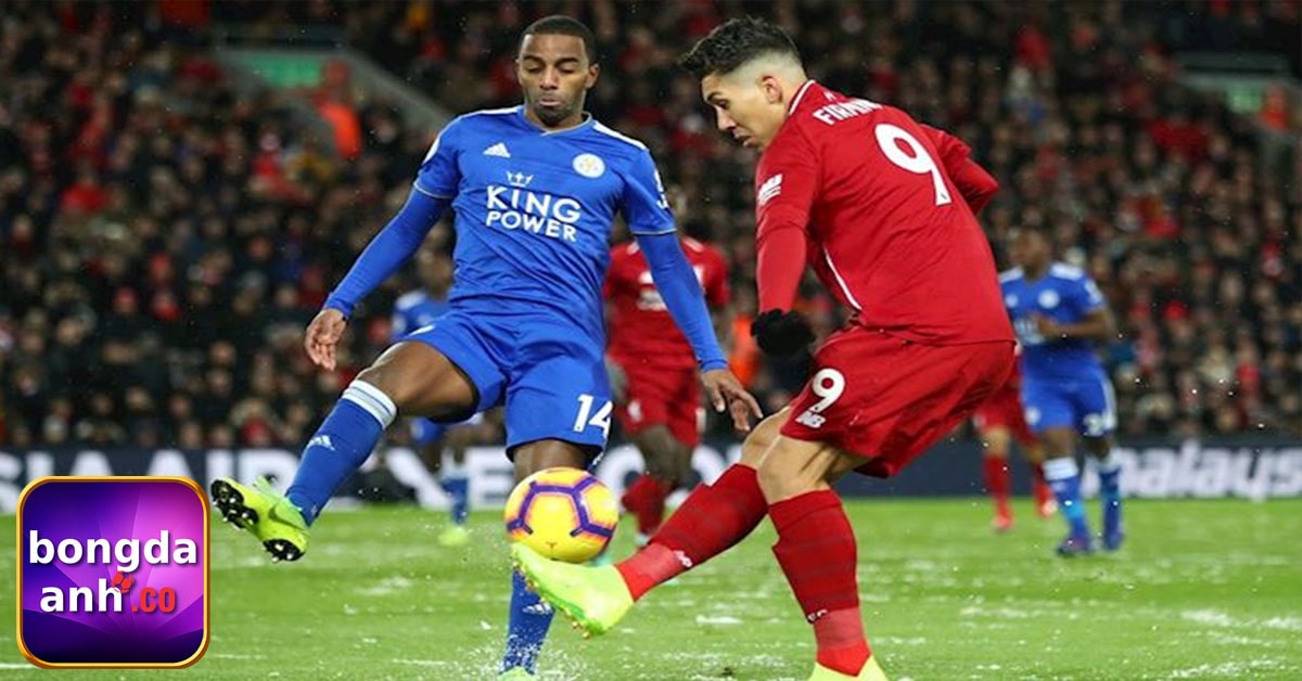 Thông tin về vé và sân vận động bóng đá Anh