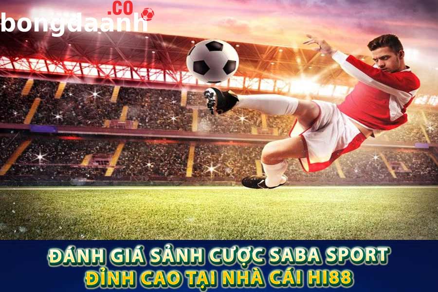 Nhiều tỷ lệ kèo để anh em cược thủ lựa chọn